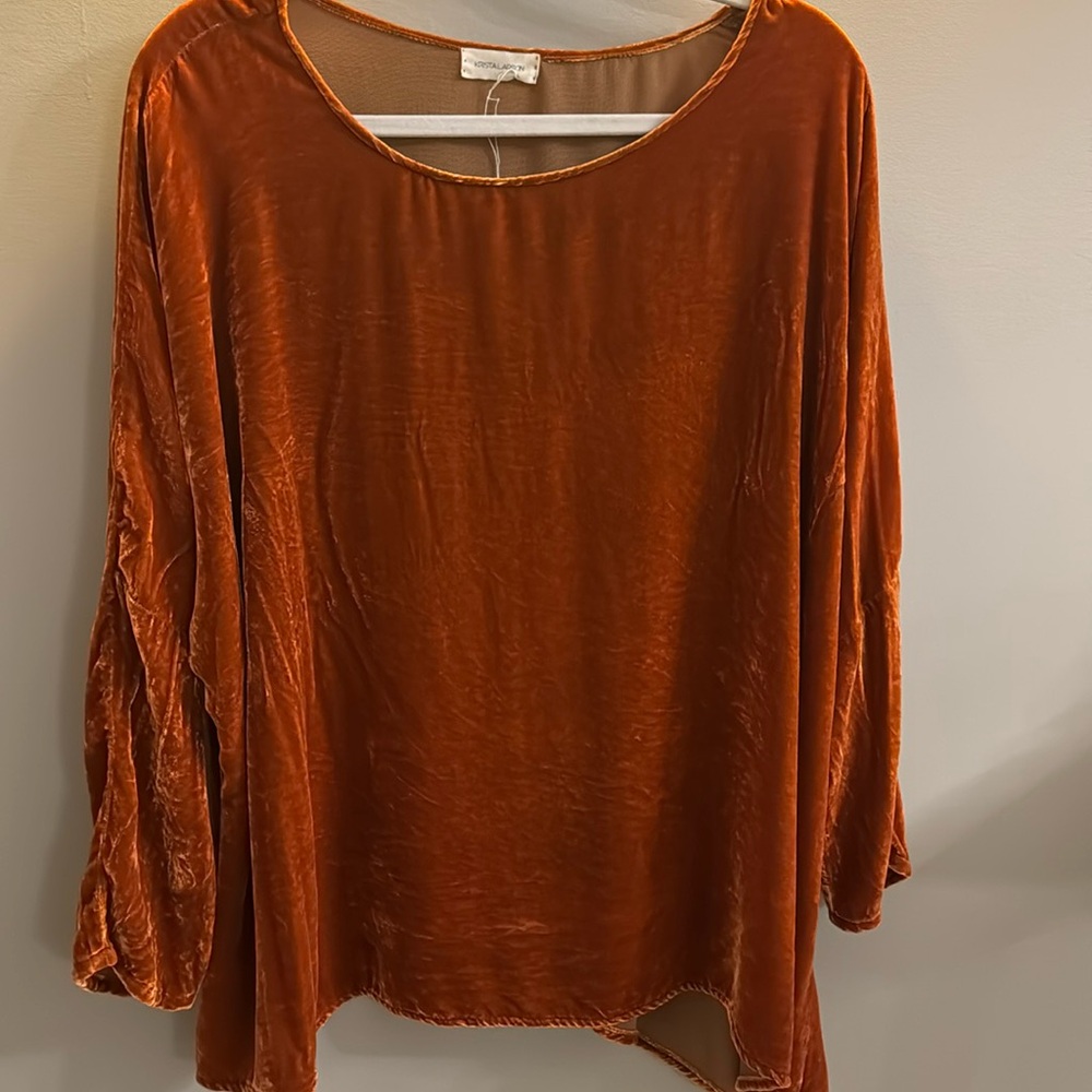 Krista Larson Elegant Rust Velvet Top w/ Rouched Sleeve Detail